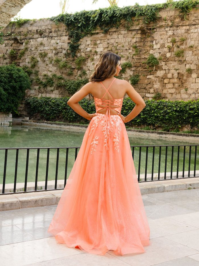 Af5409 coral logo back