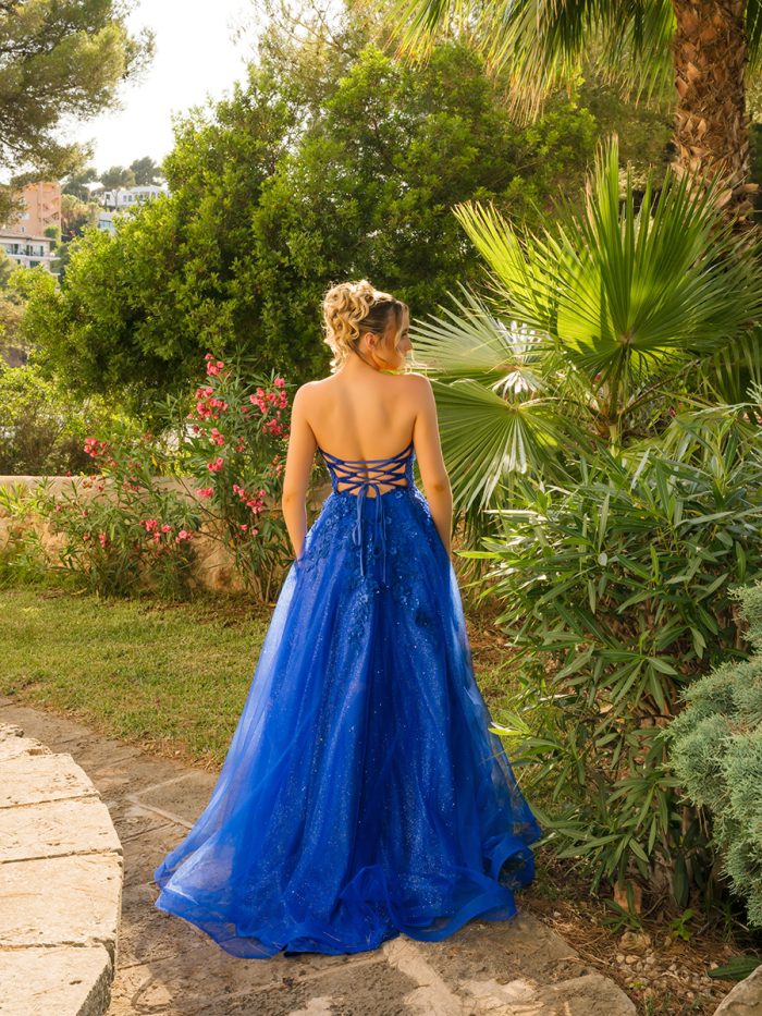 Af6660 royal back