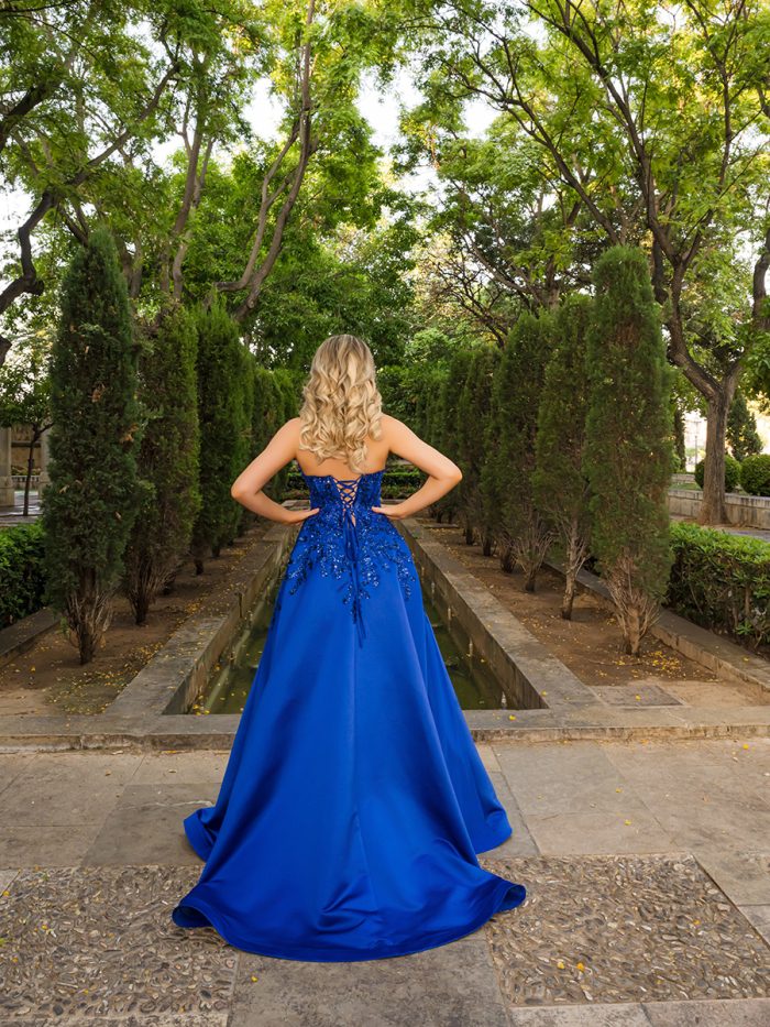 Af6663 royal back