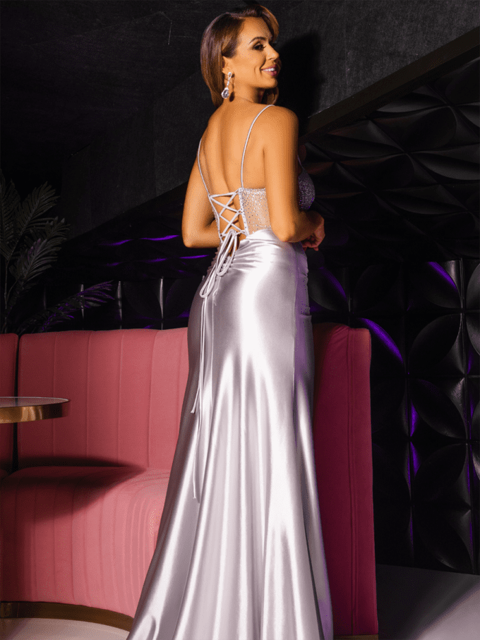 Tnp236 silver back